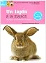 Un lapin � la maison : Le choisir, le comprendre, le soigner