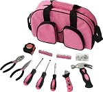 Apollo Precision Tools Dt0423p 69 Piece Womens Essential Tool Kit by Apollo