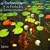 Rachmaninov: 24 Preludes