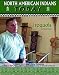 Books : Iroquois (North American Indians Today)