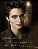 Empire 312228 Twilight New Moon Edward Quote Poster