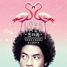 LOVE RAIN ~恋の雨~