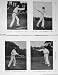 1908 Portrait Tennis Smith Doherty Hillyard Gore Sport