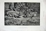 1884 GELIBERT FINE ART RABBITS TRAPPED HARE COUNTRY