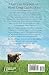 The Heart's Frontier (The Amish of Apple Grove, No. 1)
