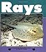Rays (Nature Watch)