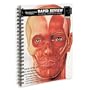 Rapid Review: Anatomy Reference Guide