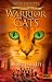 Warrior Cats Staffel 2/03. Die