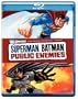 Superman/Batman: Public Enemies [Blu-ray]