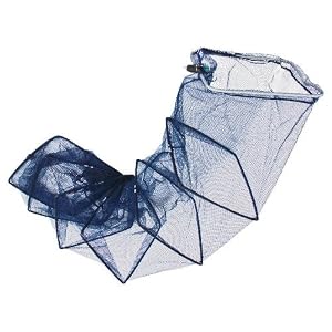 2XL Square 8