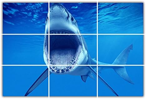 Shark Poster Large Print Giant Wall Art w1