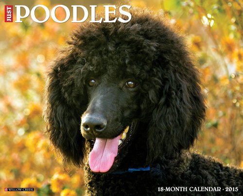 Just Poodles 2015 Wall Calendar (Just (Willow Creek))