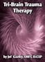 Tri-Brain Trauma Therapy