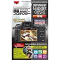 Kenko デジカメ用液晶プロテクター パナソニック LUMIX DMC-G2用 KLP-PAG2