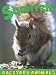 Squirrels (Backyard Animals)