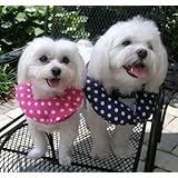 Puppy Bumper - Keep Your Dog on the Safe Side of the Fence - Pink Dots - up to 10