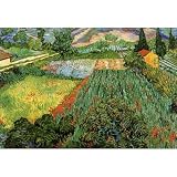 Vincent Van Gogh Field with Poppies Art Print Poster 11x17 Reviews 51i7nszq%2BnL. SL160 Vincent Van Gogh Field with Poppies Art Print Poster 11x17 Reviews