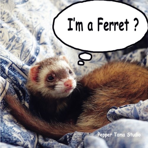 I'm a Ferret?