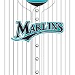 Florida Marlins MLB Book Cover