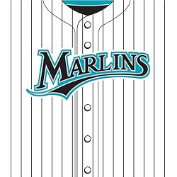 Florida Marlins MLB Book Cover