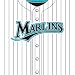 Florida Marlins MLB Book Cover