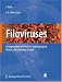 Filoviruses: A Compendium of 40 Years of Epidemiological, Clinical, and Laboratory St...