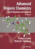 Advanced Organic Chemistry: Part B: Reaction and Synthesis (Advanced Organic Chemistry / Part B: Reactions and Synthesis)