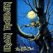 Fear Of The Dark (Live in Rock In Rio)