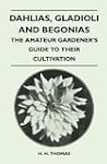 Dahlias, Gladioli and Begonias - The...