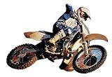 Dirt Rider 258-75019M Wall Mural