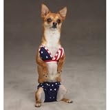 Esc All-American Bikini Sm