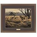 Abandoned Farmstead Framed Art