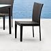 Zuo Arica Chair