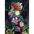 Monster Allergy : Pack en 2 volumes : Tome 9, Le Retour de Zach ; Tome 10, Au Coeur de l'arbre creux