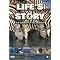 Creation evolution DVD's that would interest Christians