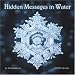 Hidden Messages in Water 2008 Calendar