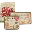 Natural Wonders luxury combo set: notebook (elastic bound), stamps in box and stickers in tin