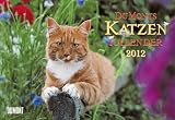 Produkt-Bild: DuMonts Katzen-Kalender 2012. Brosch&uuml;renkalender: mit literarischen Texten