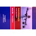 Jurisprudence: Theory and Context