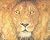 The Lion & the Mouse