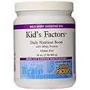 Natural Factors Kid's Factors Daily Nutrient Boost with Whey Protein Wild Berry, 16 Ounce