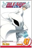 Bleach, Vol. 47 (Bleach (Graphic Novels))