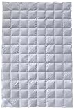 Billerbeck 5105710001 S 22 Superlight Sale Faser Aloe-Vera-Veredelung Sommerdecke 135x200 cm, 1-teilig, weiss