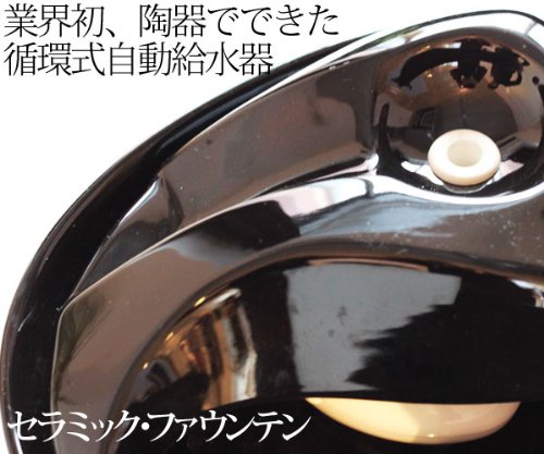 セラミックファウンテン【ホワイト】【自動給水器】特典z0.5