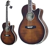 TAKAMINE Cooder TCP-560/ASG GARM^[
