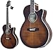 TAKAMINE Cooder TCP-560/ASG GARM^[