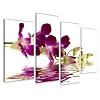 Image sur toile 130 x 80 cm Mod�le N� XXL 6132 orchid�e Tableaux pour la mur, encadr�s, pr�ts � poser, tout les images sur ch�ssis g�ant bois v�ritable.
