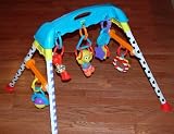 Sesme Street Baby Play Gym