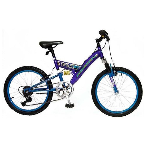 Picture of Schwinn Pacific 20 inch Girl's Singe Bike 201041P (Bicycle Child Seat)