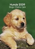 Hunde 2009